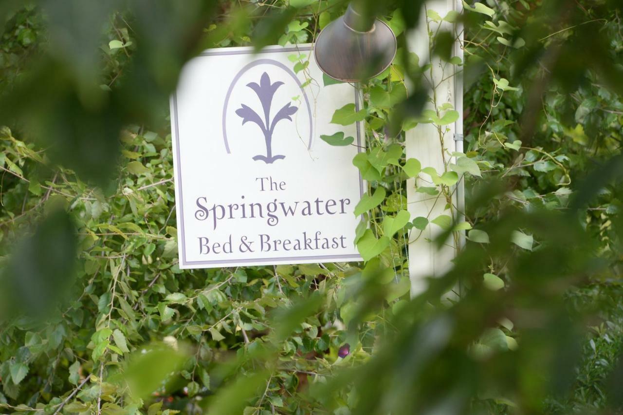 The Springwater Bed And Breakfast Σαρατόγκα Σπρινγκς Εξωτερικό φωτογραφία