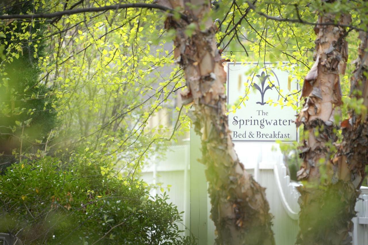 The Springwater Bed And Breakfast Σαρατόγκα Σπρινγκς Εξωτερικό φωτογραφία